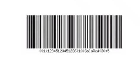 Sicon Barcoding & Warehousing - Complex Barcodes v1